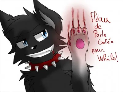 Comment s'appellent les frères et sœurs de Tynni ?