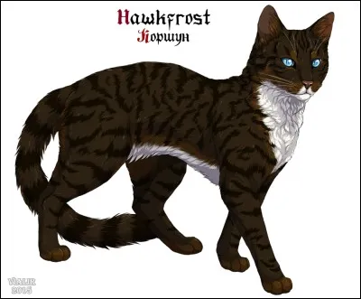 Qui est la sœur de Griffe d'Épine ?