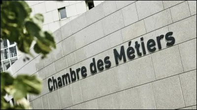 Plus tard, tu voudrais être...