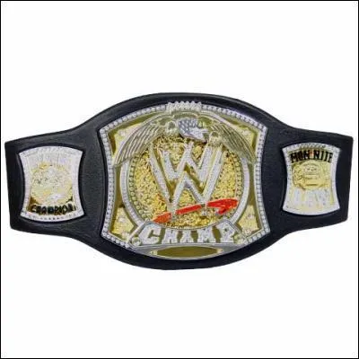 Quelle est cette ceinture ?