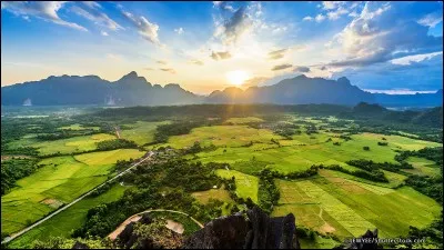 Cochez le Royaume du million d'éléphants !