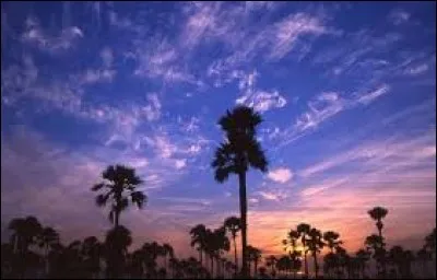 Savez-vous quel est le pays de la Téranga ?