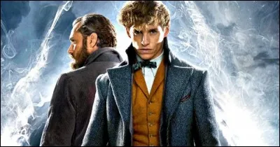 Sorti cette année, le film « Les Animaux Fantastiques : Les Crimes de Grindelwald » est un spin-off de la saga...