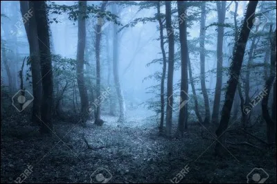 Pourquoi Neville est-il allé en forêt avec Harry et Hermione ?