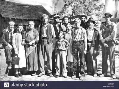 "Les Raisins de la colère" est le titre d'un roman d'Ernest Hemingway.