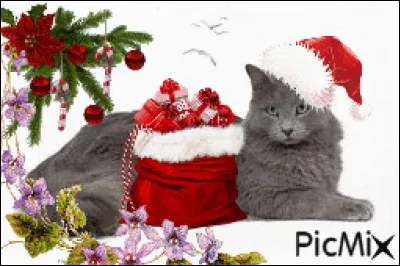 Quelle est l'image intruse, qui n'est pas identique à celle du Chat-Noël et des trois autres ?