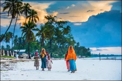 Cet archipel luxuriant de l'Océan Indien est situé au large de la Tanzanie : il a longtemps été au centre du commerce des épices et des esclaves, dirigé par des sultans depuis leur palais. 
Il faut y ajouter aujourd'hui des paysages de plages, d'eau turquoise et de palmiers sous un ciel bleu éclatant. Puis des images de kites, surfeurs et de plongeurs, là où la mer semble avoir tout pour plaire.