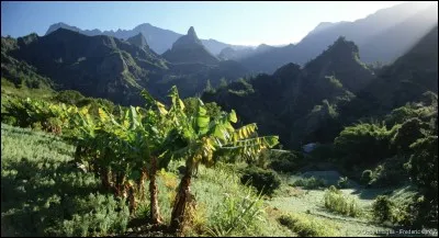 Son parc national couvre 42% de sa superficie, oeuvre pour la préservation de sa nature. On y trouve, en effet, des trésors de biodiversité soit, 1 600 espèces végétales indigènes et 2 000 d'invertébrés.
On veille aussi à faire de cet espace un paysage culturel en protégeant les familles qui y résident. 
Trouvez cette île où l'on peut voir une mosquée à côté d'une église, à côté d'une synagogue :