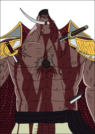 Combien de boulets de canon ont percuté Barbe Blanche lors de la guerre de Marine Ford ?