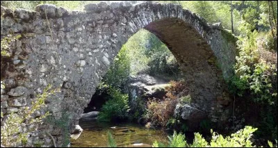 Quel nom porte ce type de pont en Corse ?