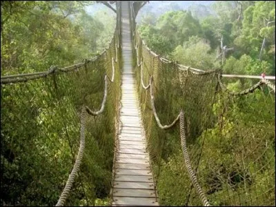 Comment nomme-t-on ce type de pont ?