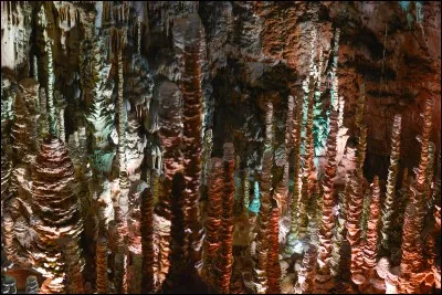 Quelle grotte française accueille l'une des plus vastes forêts de stalagmites du monde ?