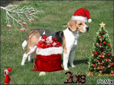 Est-ce encore le Chat-Noël ? Ah non, cette fois-ci c'est le Chien-Noël ! Quelle est l'intruse ?