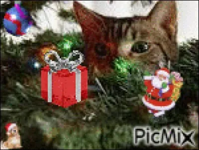 Oh, ce chat veut voler le cadeau ! Retrouve l'image intruse pour sauver le cadeau des chatons !
