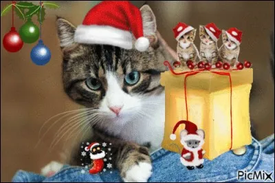 Ce chat a reçu un gros cadeau mais il se méfie de la petite souris maligne, qui pourrait bien le lui prendre Aide-le et retrouve l'intruse.
