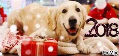 Vive le vent, vive le vent, vive le vent d'hiver ! Voici le Chien-Noël du film ! Retrouve l'intruse et aide-le à distribuer les cadeaux aux chiots bien sages.