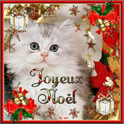 Voici une très belle image de chaton sur le thème de Noël ("Joyeux Noël !"). Trouve l'image intruse, le chaton t'en remerciera !