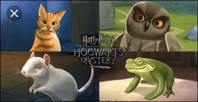 Quel animal ramènerais-tu du Chemin de Traverse ?