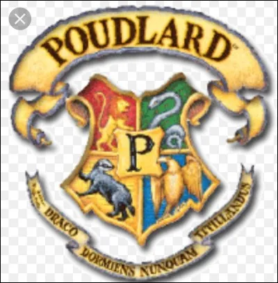 Dans quelle maison aimerais-tu être ?