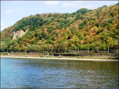 Lequel de ces poissons ne trouve-t-on pas dans les rivières ?