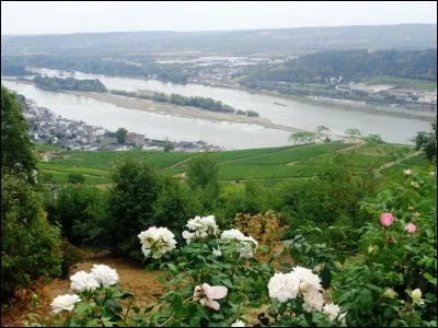 Parmi ces quatre cours d'eau français, lequel est une rivière, et non un fleuve ?