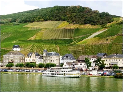 Quelle est cette rivière franco-allemande, célèbre pour sa production viticole, qui se jette dans le Rhin à Coblence ?