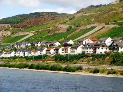 Quelle chanson de Céline Dion, sortie en 1995, débute par ces paroles : "Détourner des rivières, porter des poids, traverser des mers,..." ?