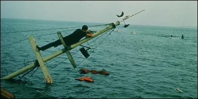 Quel animal voit-on dans "Les Dents de la mer" ?