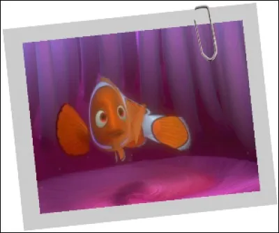 Quel animal marin dévore Corail dans "Le monde de Némo" ?