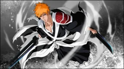 Comment s'appelle le personnage principal de "Bleach" ?