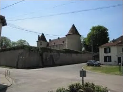 Je vous emmène maintenant en Meurthe-et-Moselle, à la découverte du château du XIVe siècle de Mailly-sur-Seille. Nous serons en région ...