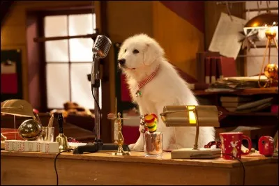 Pourquoi le chien s'est-il retransformé en simple peluche ?