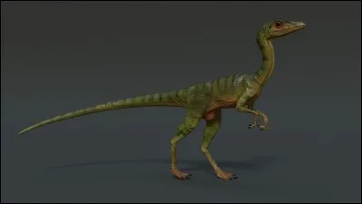 Le Compsognathus faisait dans les...