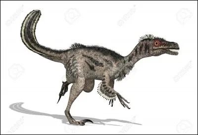 Le Vélociraptor pouvait courir jusqu'à...