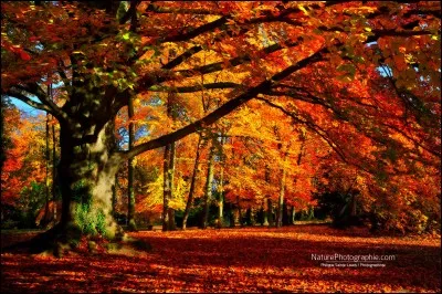 En litt&eacute;rature, dans un sens figur&eacute;, que d&eacute;signe l'automne ?