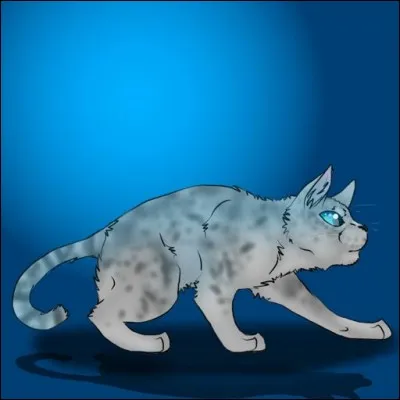 Pour quelle raison Pelage de Granit voulait-il tuer Feuille de Houx, il de Geai et Pelage de Lion ?