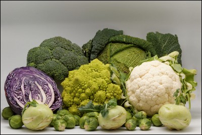 La verdure au taux de calcium élevé est le/la :