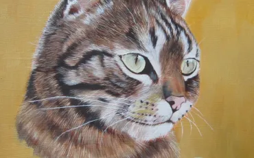 Quiz Peintures