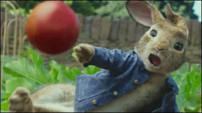 Veux-tu lui faire faire des labyrinthes ?