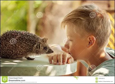 Quel animal as-tu chez toi ?