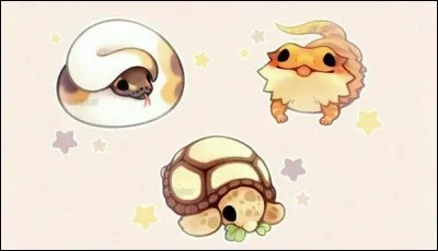 Quel triangle préfères-tu ?