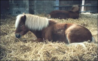 Cette robe est magnifique et c'est une de mes préférées !