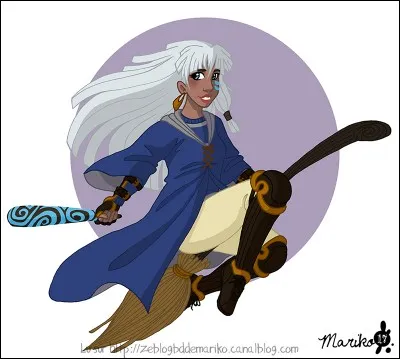 Qui joue un match de quidditch sur cette image ?