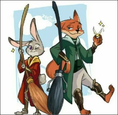 Je vois qu'un match de quidditch entre Gryffondor et Serpentard se prépare, qui sont ces deux joueurs ?