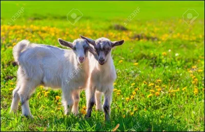 Ne soyez pas "bougon", trouvez moi ce département, qui est...