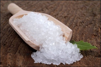 De quoi est principalement composé le sel ?