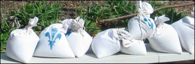 Quel était le nom de la taxe royale sur le sel ayant existé en France au Moyen Âge ?