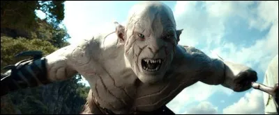 De quelle race étaient les Orcs autrefois ?