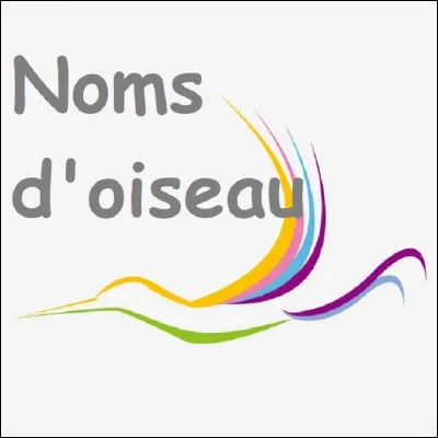 Que signifie l'expression ''donner des noms d'oiseau'' ?