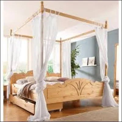 Patricia s'est offert un lit à _______________.